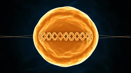 Abstract 3D render of a virus particle with a DNA helix structure inside.
