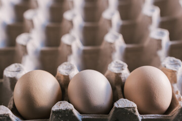 Fresh, organic eggs, both white and brown, are packaged in a carton container