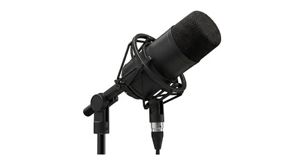 Studio condenser microphone angled on a shock mount with xlr connector isolated on white background
