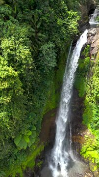 Aerial drone view Majestic at Gitgit waterfall flowing through a lush, verdant rainforest. Nature's beauty and serenity