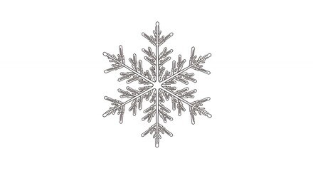 Detailed snowflake design