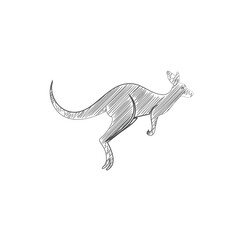 Obraz premium Kangaroo sketch vector illustration marsupial drawing outline wildlife animal artwork design concept