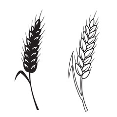 Two stylized black and white illustrations of wheat ears for agricultural and design elements