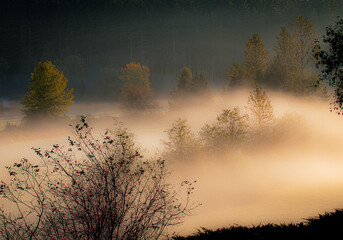 morning mist over the valley