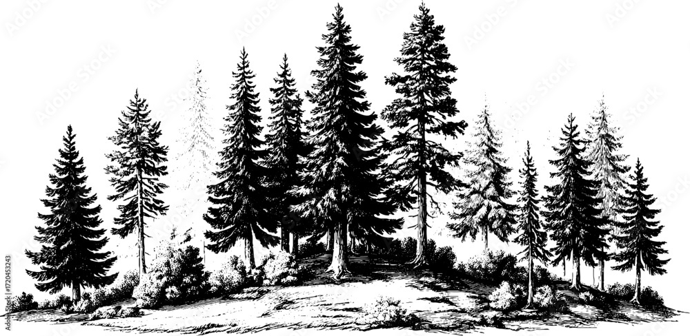 Poster engraving style seamless pattern of pine trees for forest-themed design