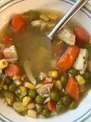 Homemade chicken soup with vegetables