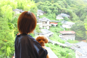 大きな窓の前で飼い主に抱っこされているトイ・プードル
