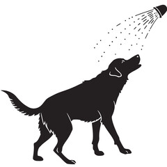 Dog shaking water from fur silhouette