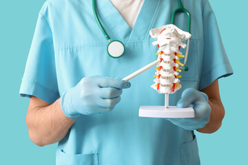 Male doctor demonstrating spinal anatomy with vertebral column model on blue background