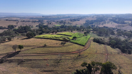 Naklejka premium Sao Benedito Das Areias Skyline At Mococa In Sao Paulo Brazil. Countryside City. Rural Cityscape. Sao Benedito Das Areias Skyline At Mococa In Sao Paulo Brazil. Agriculture Field. Outdoor Scene.