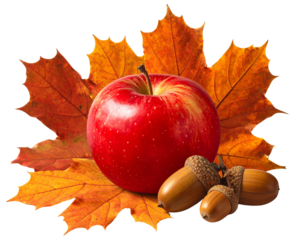 Shiny Red Apple with Autumn Leaves, Isolated on Transparent Background