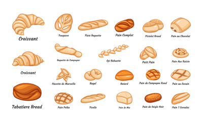 French bread bakery product set, colored vector illustration. Tabatiere, epi baguette, bagel and slices breads. Bake roll, pastry, pain au levain, petits pains and ets.