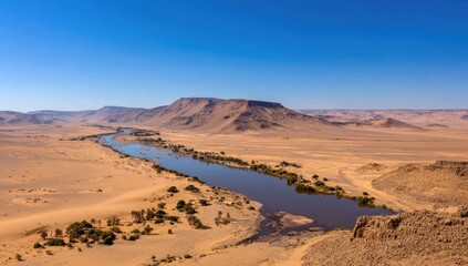 Naklejka premium High-altitude view of a river winding through a desert landscape.