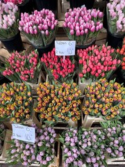 Flower Market in Amsterdam, Netherlands