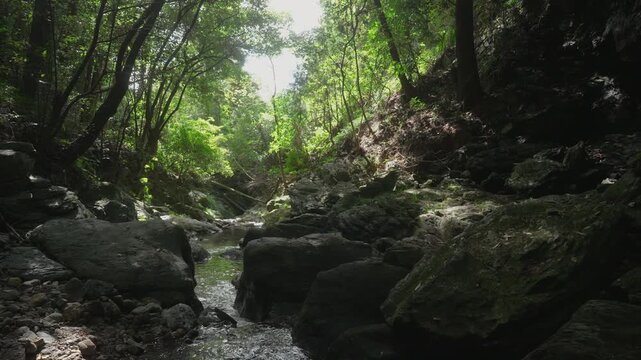 Tobikoe Stone on the Manyo Ancient Trail Crossing Wakayama and Nara, Hashimoto and Gojo, Japan　万葉古道・和歌山県と奈良県を越える「飛び越え石」和歌山県橋本市・奈良県五條市
