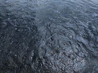 風がほとんどない水面のクローズアップ写真です。黒っぽい水面に、小さな白い泡や波紋が浮かんでおり、深みのある質感が表現されています。