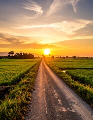 Scenic rural pathway at sunset