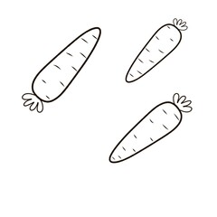 Black and white carrot illustration. Carrot sketch on a white background. Carrot drawing with a simple black border. Hand drawn carrot illustration.