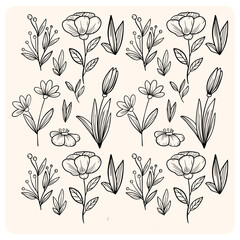 Delicate Hand-Drawn Floral and Botanical Elements