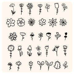 Set of Hand-Drawn Minimalist Floral Doodles