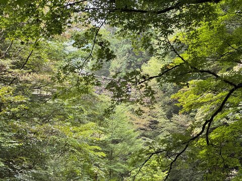 川