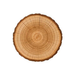 cut tree stump png, realistic tree stump illustration, old tree stump png, wooden tree stump png, tree stump on grass png, cartoon tree stump png, tree trunk stump png, chopped tree stump png, tree