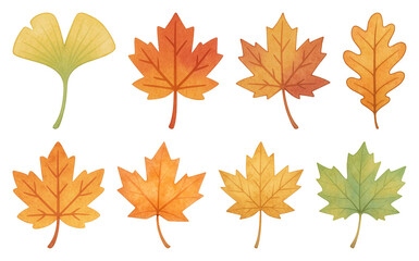 PNG Colorful autumn leaves illustration, element set on transparent background