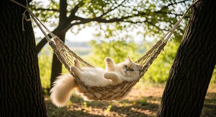 Fluffy white cat with blue eyes relaxing comfortably in a woven hammock suspended between two trees in a sunlit forest clearing