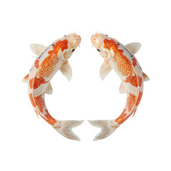 clownfish swimming png, cute clownfish illustration png, tropical clownfish png image, colorful clownfish png, clownfish cartoon clipart png, realistic clownfish png, clownfish in sea png, small