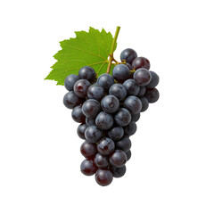 purple grapes bunch png, fresh purple grapes image, realistic purple grape illustration png, juicy purple grapes png, sweet purple grape cluster png, organic purple grapes png, ripe purple grapes