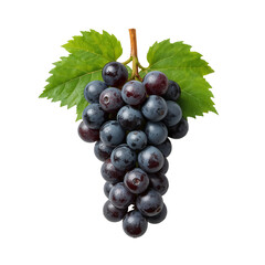 purple grapes bunch png, fresh purple grapes image, realistic purple grape illustration png, juicy purple grapes png, sweet purple grape cluster png, organic purple grapes png, ripe purple grapes