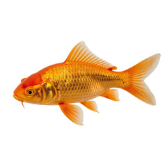 golden fish swimming png, shiny gold fish image, cute goldfish illustration png, bright golden aquarium fish, realistic goldfish clipart png, tropical golden fish png, small goldfish cartoon png