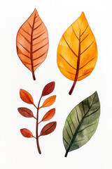 Watercolor leaf study featuring four autumn leaves in warm orange, yellow, and green tones with delicate veins and soft textures on a white background.