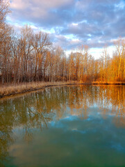Karrer Pond, Red Trabue Nature Preserve in Late Winter, Dublin, Ohio