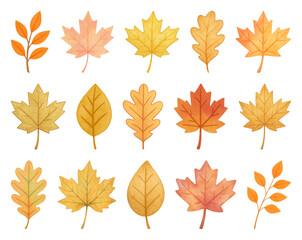 Obraz premium PNG Autumn leaves illustration collection, element set on transparent background