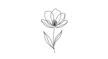 Elegant Single Line Flower Drawing