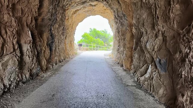 A stunningly beautiful tunnel entrance, featuring a perfectly paved pathway, leads toward vibrant greenery all around