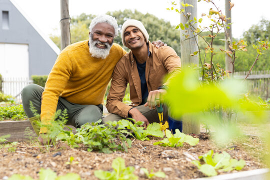 Diverse senior male friends kneeling in backyard raised bed tending leafy plants with hand trowel