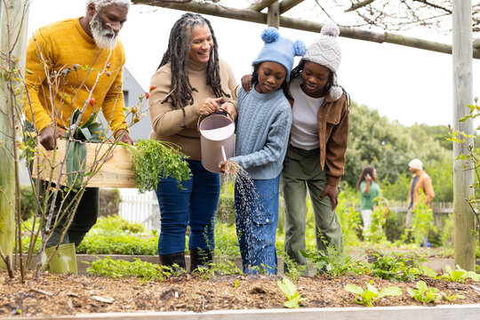 Diverse family watering seedlings in raised bed under pergola with crate and pink watering can