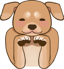 Puppy