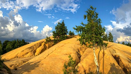 Golden Hills Under a Sky of Clouds