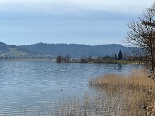 Fototapeta premium Swiss subalpine lake See Ägerisee or Ageri Lake (Ägeri Lake or Aegeri Lake) - Canton of Zug, Switzerland - (Agerisee oder Aegerisee - Kanton Zug, Schweiz)