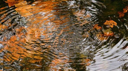 Autumn rain ripples on water surface with fallen leaves.