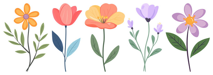 PNG Colorful floral vector illustration, element set on transparent background