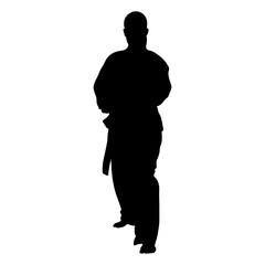 Silhouette of a Woman Karate Athlete.