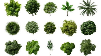 A Diverse Collection of Green Plants and Trees, Presented from a Top View, Isolated for Architectural Visualizations and Landscape Designs. Transparent PNG Image