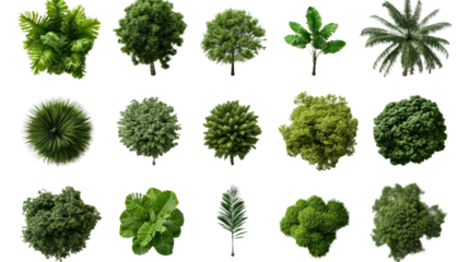 A Diverse Collection of Green Plants and Trees, Presented from a Top View, Isolated for Architectural Visualizations and Landscape Designs. Transparent PNG Image