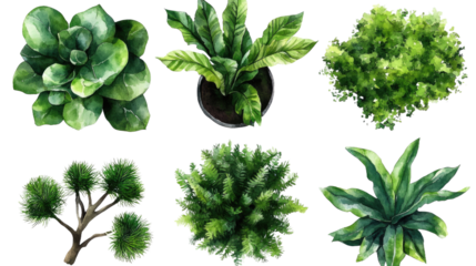 Botanical watercolor set: Aerial view of various green plants including succulents, ferns, and potted houseplants, illustrated with vibrant brushstrokes for design elements.