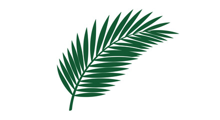 Close-up of a single dark green palm leaf, detailed and well-defined.