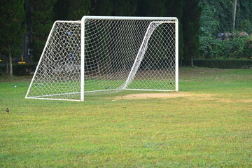 goal of football on green grass background, object of sport